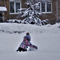 Зимние забавы. :: Венера Чуйкова