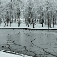 Озеро - пруд в городском парке :: Милешкин Владимир Алексеевич 