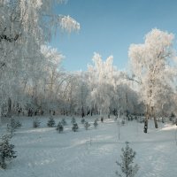 В зимнем парке. :: Rafael 