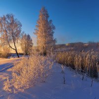 Солнечное утро :: Vladimbormotov 