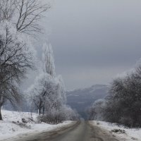 Зимняя дорога домой... :: M Marikfoto