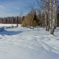 Снежный март :: Валерий Иванович