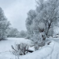 Зимняя зарисовка :: Роман Савоцкий