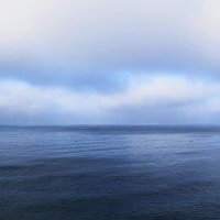 Балтийское море зимой :: Маргарита Батырева
