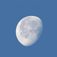 Луна :: Татьяна Беляева