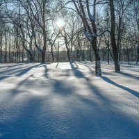 Снежный январь :: Валерий Иванович