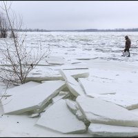 В активном поиске :: Александр Тарноградский