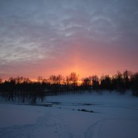 Павловский парк на закате :: Наталья Герасимова