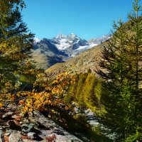 осень в Альпах :: Elena Wymann