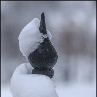 Нежные объятия зимы :: Александр Тарноградский