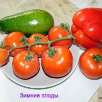 Зимние плоды. :: Валерьян Запорожченко