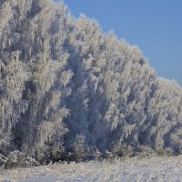 Мороз :: Алексей Екимовских