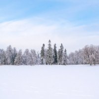 Снежный пейзаж Дворцового парка в Гатчине :: Дарья Меркулова