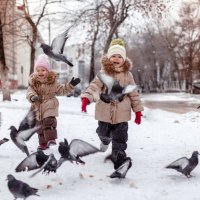 Дети, голуби, веселье :: Ольга Токмакова