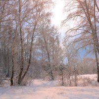 Зима-затейница :: владимир тимошенко 