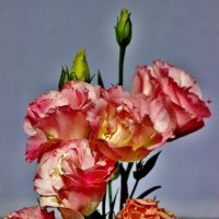 Эустома, или ирландская роза. :: Восковых Анна Васильевна 