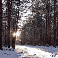 Сменить январь торопится февраль... :: Лесо-Вед (Баранов)