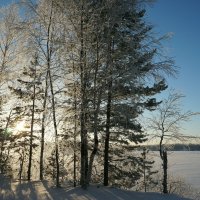 Посеребрила  инеем  зима  ... :: Нэлли Обертынская