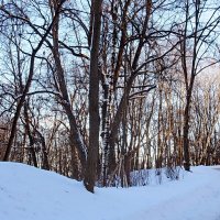 23 января, первый день зимы со снегом и солнцем.... :: Александр Чеботарь