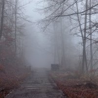 Прогулка в тумане :: Heinz Thorns