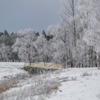 Мосток через речку Гусь :: Сергей Цветков