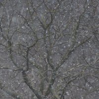 Снег :: Леонид Шаян