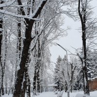зима в районе... :: Батик Табуев