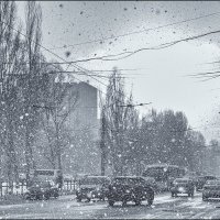 Пушистый снег :: Александр Тарноградский