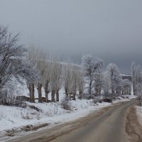 Горнопридорожное :: M Marikfoto