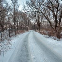 По дороге ... :: Евгений Хвальчев