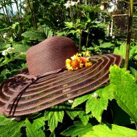 Летняя композиция со шляпой... :: Лидия Бараблина