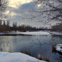 Пасмурный день :: Елена Порошина