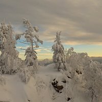 Зимние картинки. :: Galina Serebrennikova