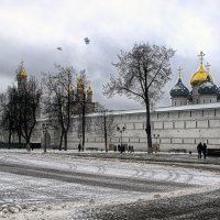 Сергиев Посад 21-01-2020. :: Юрий Яньков