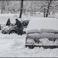 Вдвоем быстрее :: Александр Тарноградский