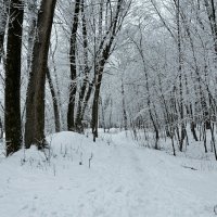 В парке после снегопада :: Милешкин Владимир Алексеевич 