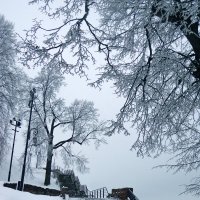 Городская графика. :: Наталья Сазонова