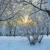 Зимняя сказка в Коломенском :: Игорь Герман