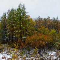 Сихотэ-Алинь, первый снег :: Игорь Сарапулов