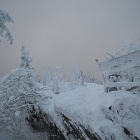 Одинокая скамейка, открытая всем стихиям.. :: Galina Serebrennikova