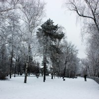 Зима в моём городе( г.Омск) :: раиса Орловская