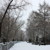 Зима в моеё городе(Г. Омск) :: раиса Орловская