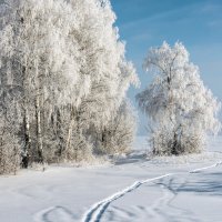 В зимнем наряде :: Любовь Потеряхина