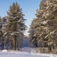 Зима в своих правах, окрестности Ухты (Республика Коми) :: Николай Зиновьев