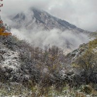 Октябрь в горах - зима :: LudMila 