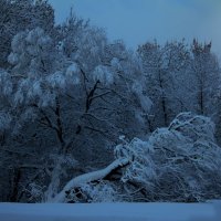 Вечер после снегопада. :: Людмила 