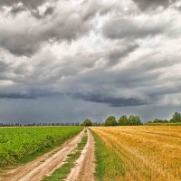 перед грозой :: юрий иванов