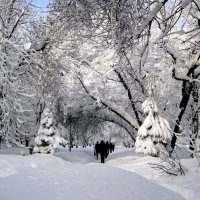 Прогулка в снежную сказку!... :: Лидия Бараблина
