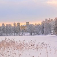 Зимний пейзаж :: Дарья Меркулова