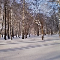 В парке. :: Венера Чуйкова